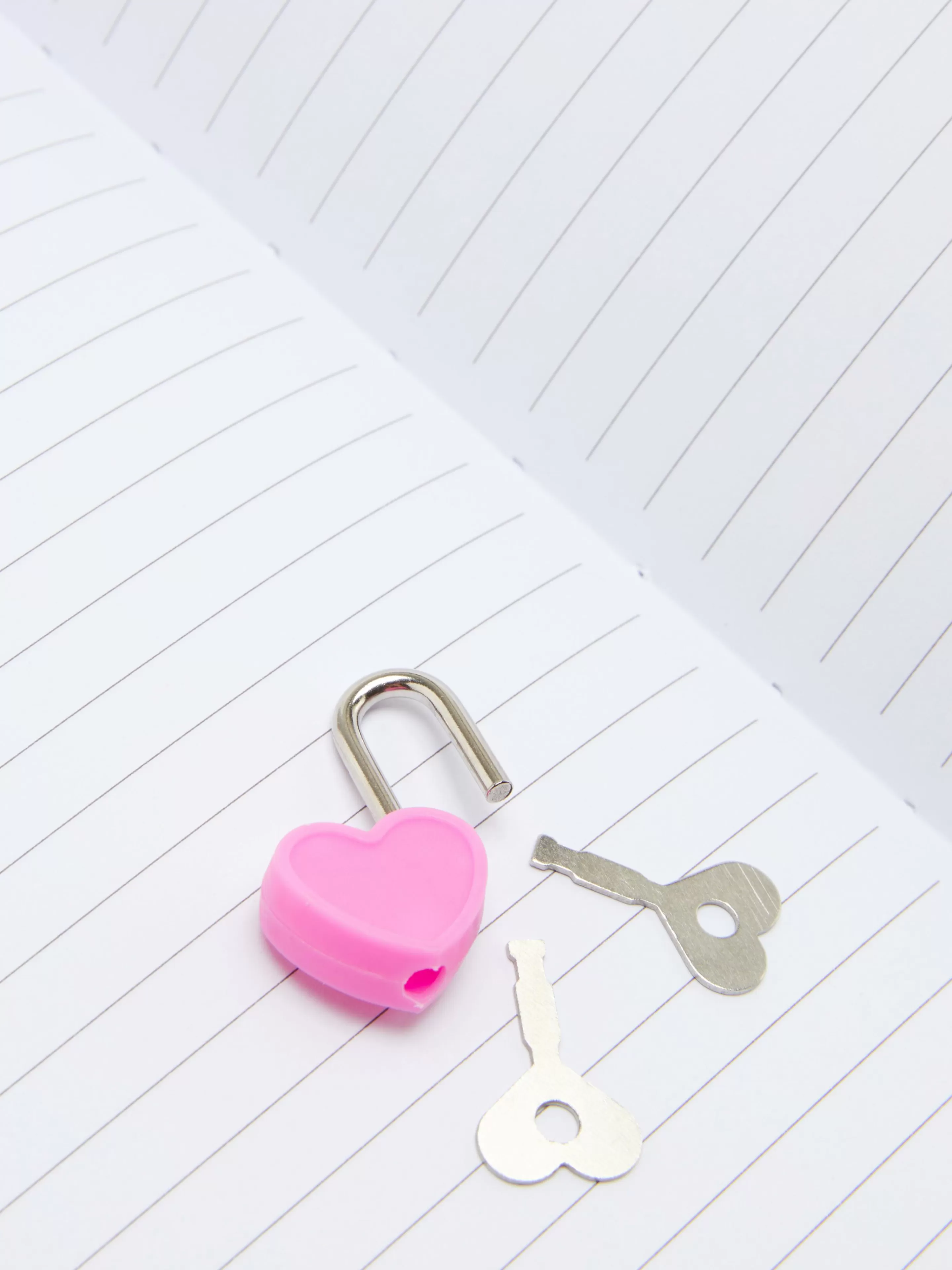 Primark Notizbücher | Plüschtagebuch Mit Einhorn-Design Multi